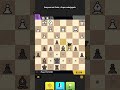 CHESS UNIVERSE CHECK MATE DE PRETAS !!