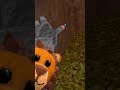 Can I beat gorilla tag while avoiding ONE COLOR #gorillatag #quest #challenge