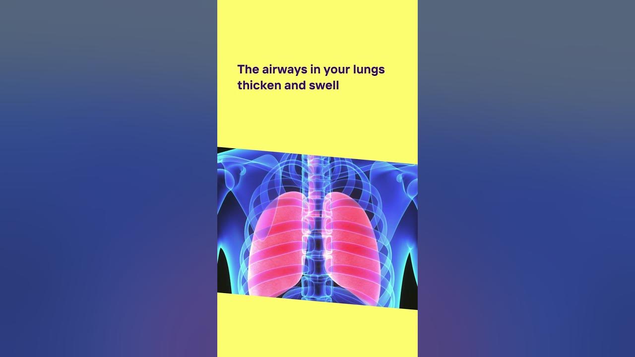 what-is-copd-remember-there-is-no-cure-for-copd-copd