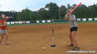 CamWood Fast Pitch Softball Bat