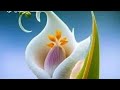 Chandrashekhar Muddi is live