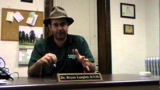 Pet Health Tip of the Day: Laser Pointer Cat Toy
