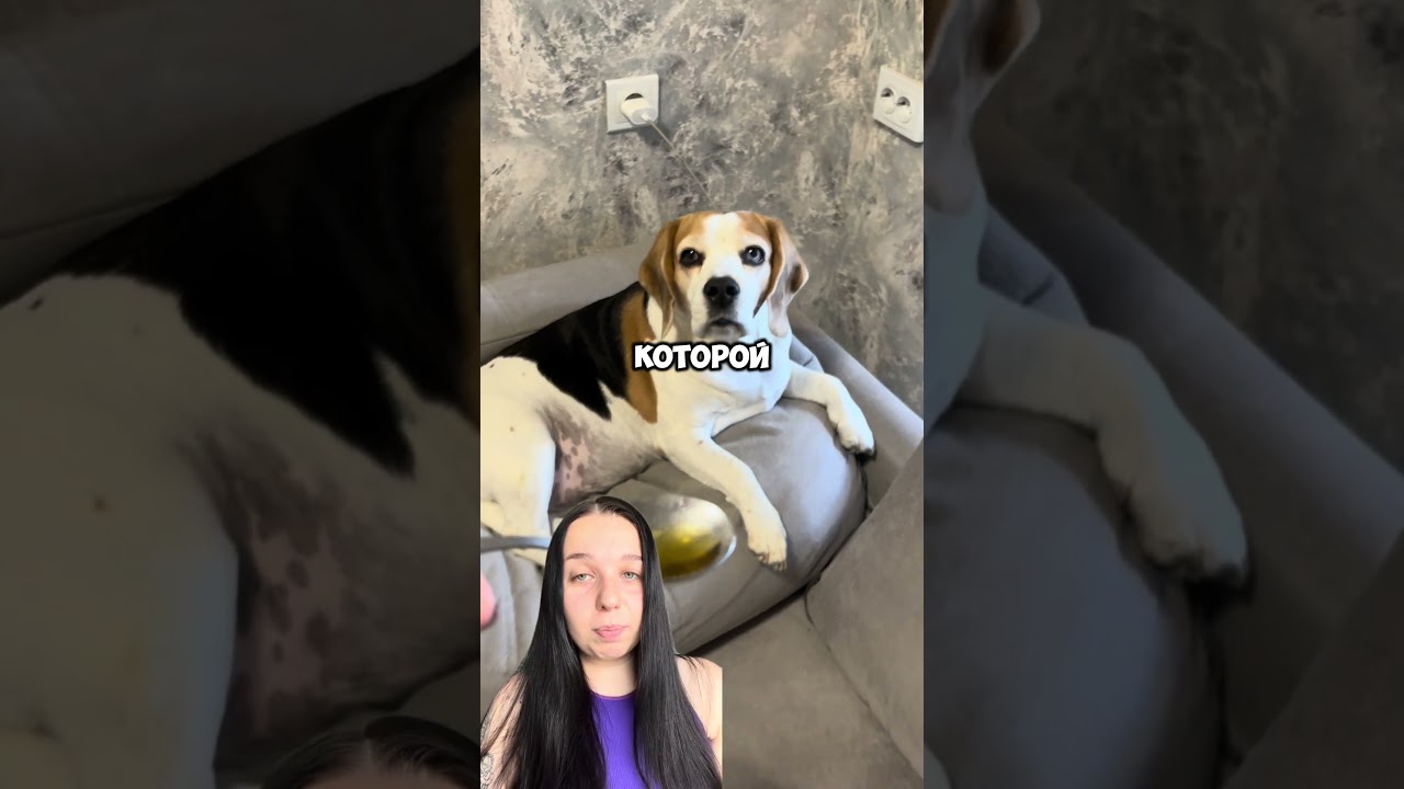 Это наше спасение🙏🏻Масло лосося на WB 