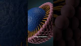 Encapsulation Efficiency Is Everything Encapsulation Efficiency Is Everything