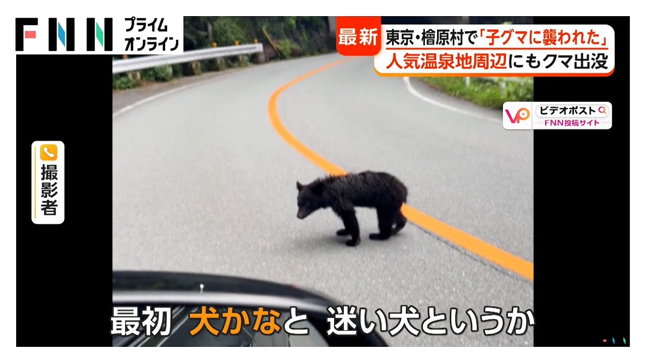 The One about another bear attack in Japan and how clever bears