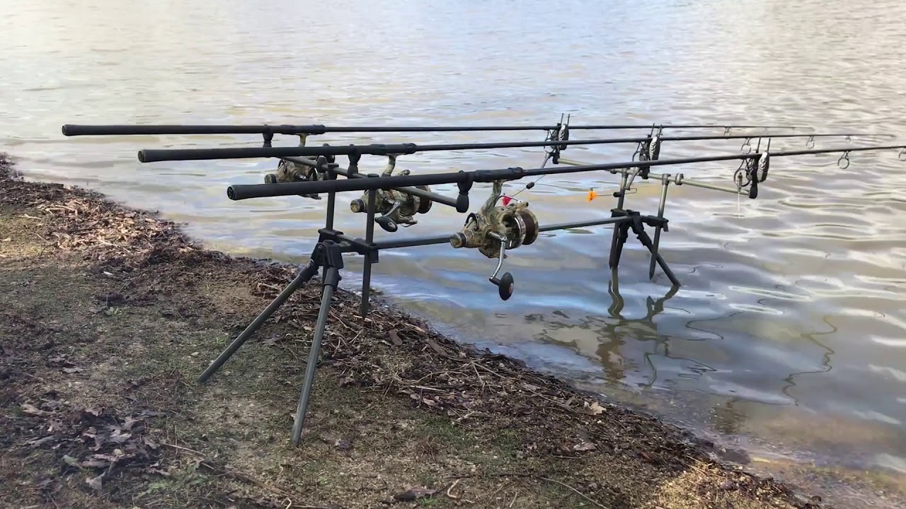 Pêche de la carpe lac du jaunay 2021