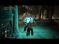 Elden Ring Götterskalpe Duo Boss Fight