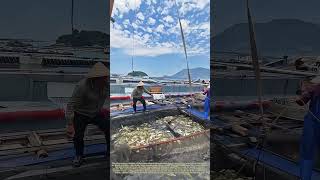 Hoisting Aquatic Harvests: Crane‑Powered Loading of Farm‑Raised Fish for Coastal Market Transit