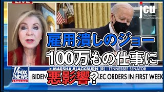 雇用潰しのジョー、100万もの仕事に悪影響が！？