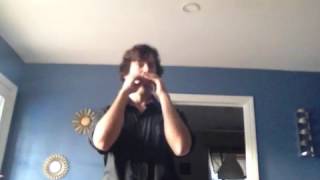 The Limerick Rake - Harmonica