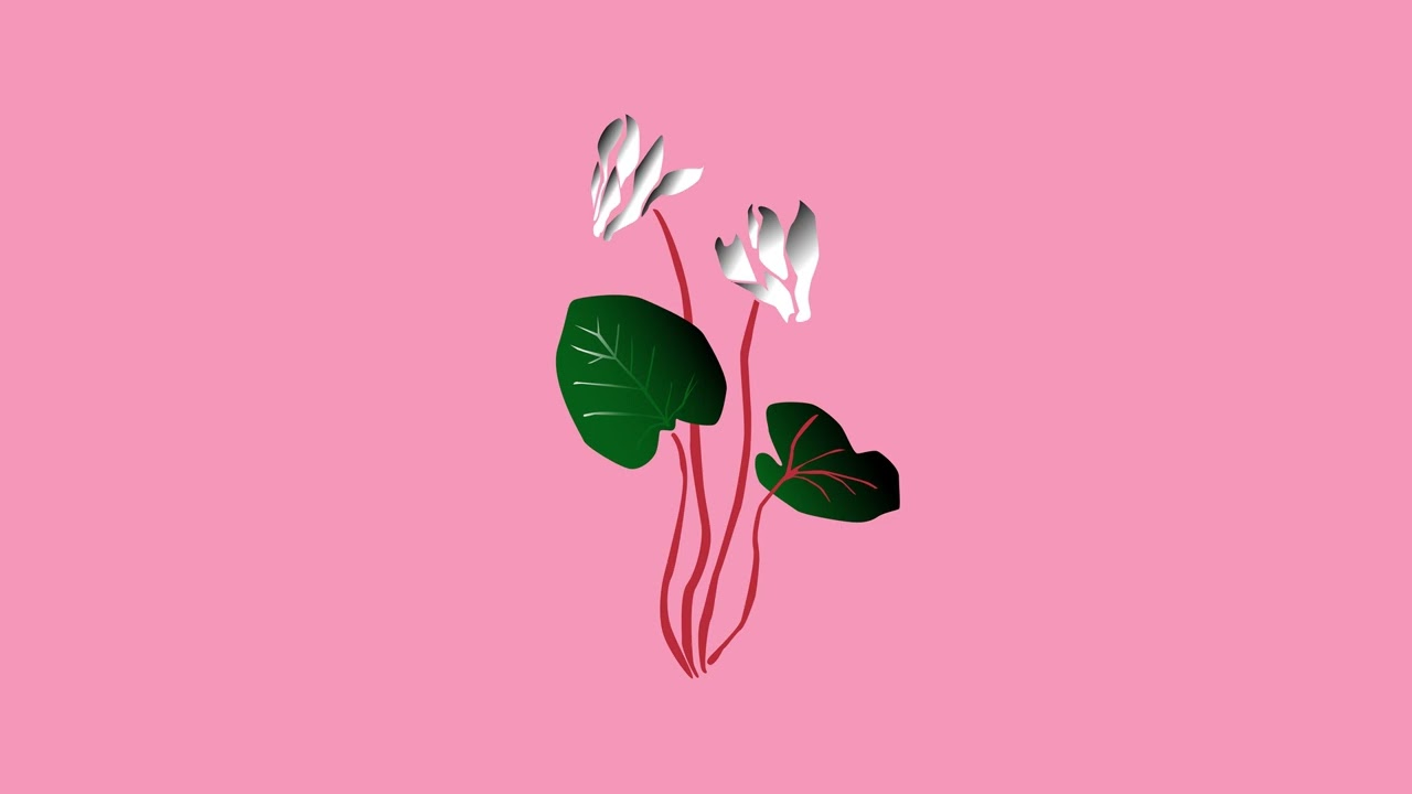 Watch Cyclamen #rradiko #cyclamen #electronic #mexico #music #musica #spotify on YouTube Watch Cyclamen #rradiko #cyclamen #electronic #mexico #music #musica #spotify on YouTube
