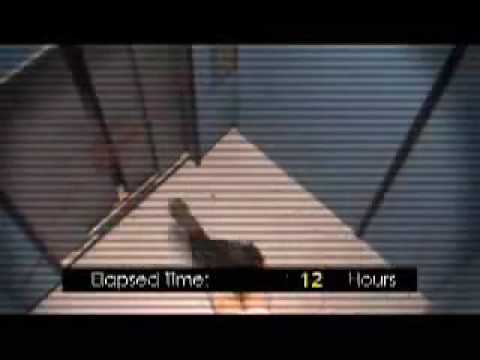 41 საათი ლიფტში