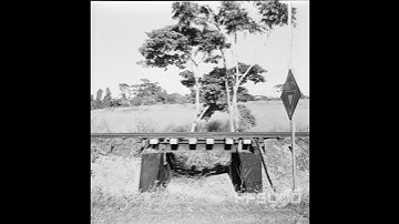 Go Analogue - AGFA Click-I [HD]