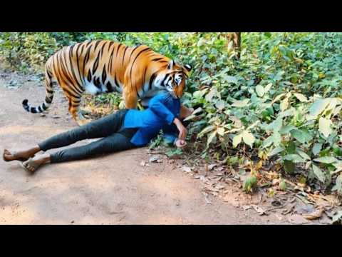 Rare Animal Moments You’ll Never See Again