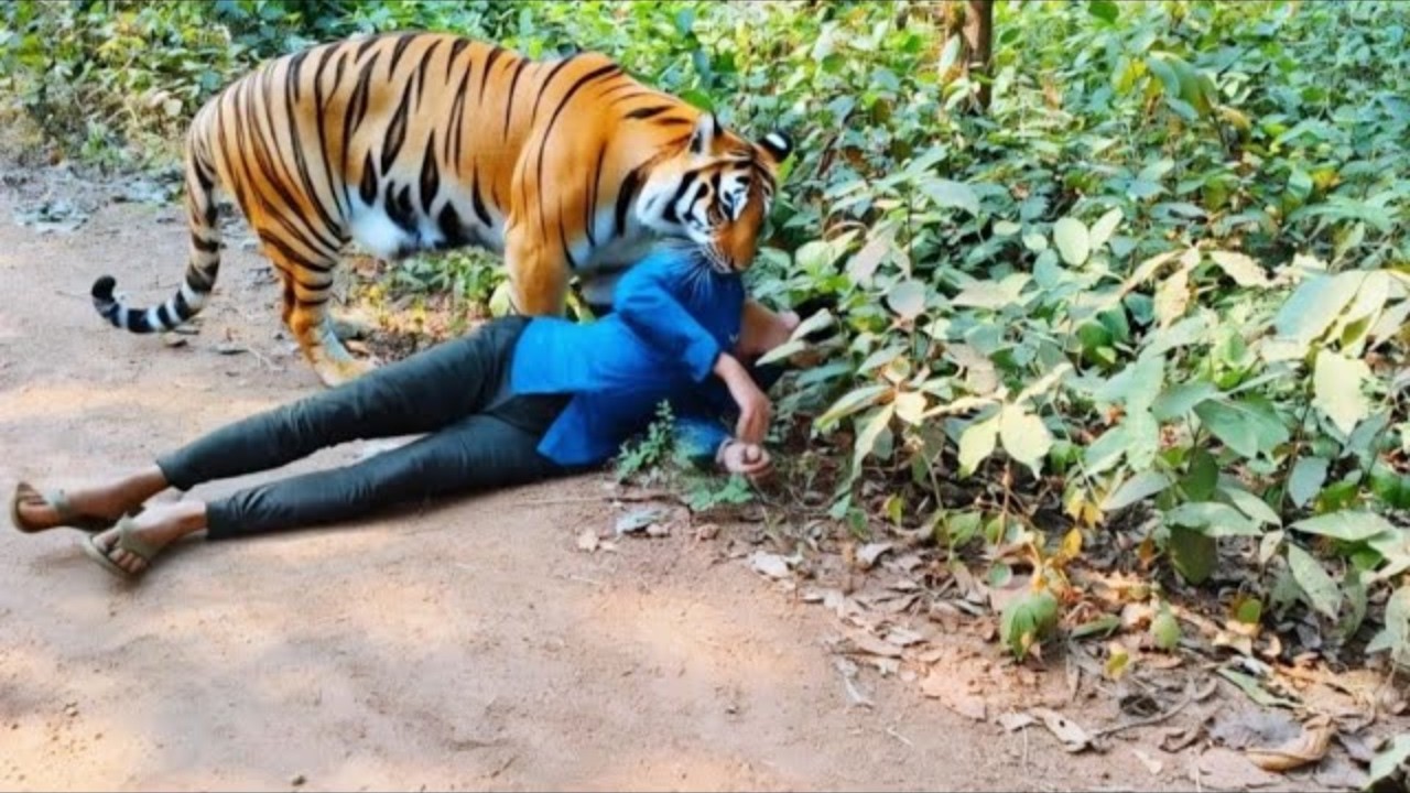 Unforgettable Wildlife Encounters You Won’t Want to Miss – Video Unforgettable Wildlife Encounters You Won’t Want to Miss – Video