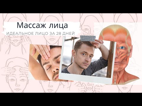 Видео: Уникальный Самомассаж лица 💆‍♂️ или «Идеальное лицо» за 28 дней 🤩 #массажлица