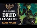 Baldur’s Gate 3 Builds: Druid Class Guide