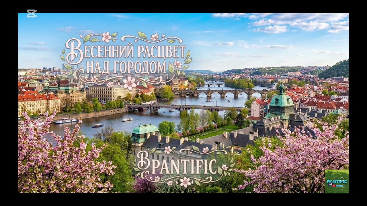 PANTIFIC - Весенний расцвет над городом
