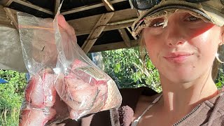 FNQ Mullet Mission 🎣