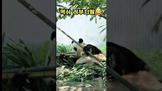 26.7.6 똑띡 맛 감별사😅 아빠닮아 암꺼나 안먹어욤😋😜💕💕