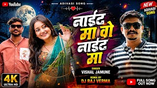 नईट म व नईट म - थर कल जनस चमक New Adivasi Song Vishal Jamune Dj Raj Verma