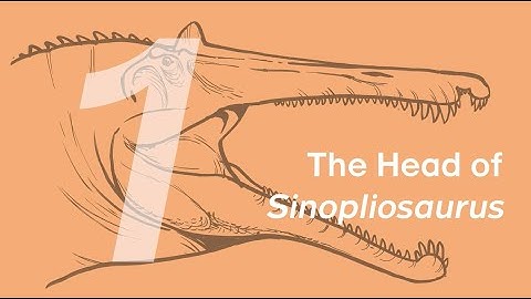 Chongzuo the “Sinopliosaurus” 1: The Head | Learn to Draw Dinosaurs with ZHAO Chuang