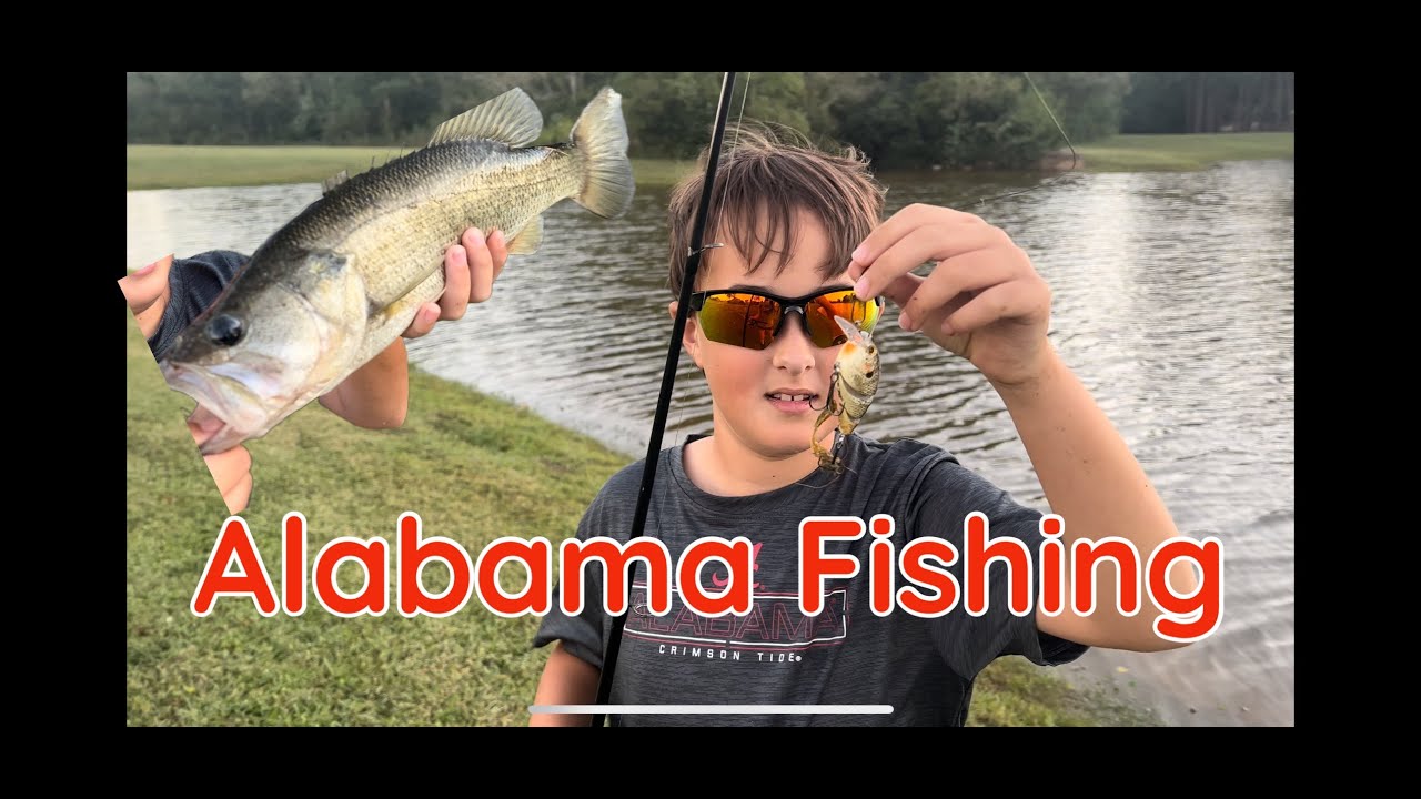 Bass Fishing in Gulf Shores, Al YouTube