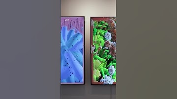 Ronen Tanchum explores the boundaries between the artificial and organic, structured and chaotic