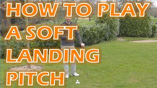 HOW TO PLAY A SOFT LANDING SHORT PITCH screenshot 1