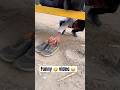 #shorts #viral #funny 🤣😂😜#viralvideo #shorts