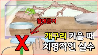 제발 소중한 개구리를 죽음으로 몰고가지 마세요..