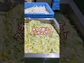 【徹底撮影】お漬物メーカー工場の裏側 #漬物 #工場 #キムチ