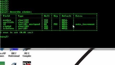 Tutorial MySQL - WampServer #3
