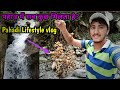 Pahadi lifestyle in Uttarakhand || Pahadi lifestyle vlog || पहाड़ी दिनचर्या || by Cool Pahadi