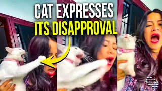 Cat Doesn’t Want Owner to Hold It and Expresses Its Disapproval
