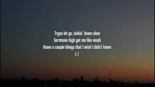OneRepublic - Serotonin [Lyrics 360P] (Sep 24, 2024) [Full Song]