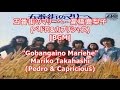 五番街のマリーへ - 高橋真梨子(ペドロ&amp;カプリシャス)[BGM]Gobangaino Mariehe - Mariko Takahashi(Pedro &amp; Capricious)