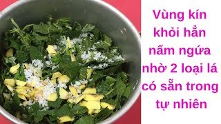 Vùng kín khỏi hẳn nấm ngứa, viêm phụ khoa nhờ 2 loại lá có sẵn trong tự nhiên