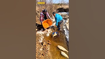 2 anh ngư dân bắt cá cực đơn giản và cái kết #fishing #cauca