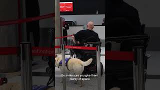 Advice for passengers to support others travelling with an Assistance Dog