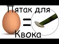 Квок на Сома | Изготовление Пятака для Квока из куриного яйца