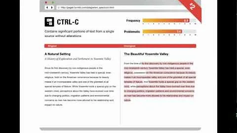10 Types of Plagiarism
