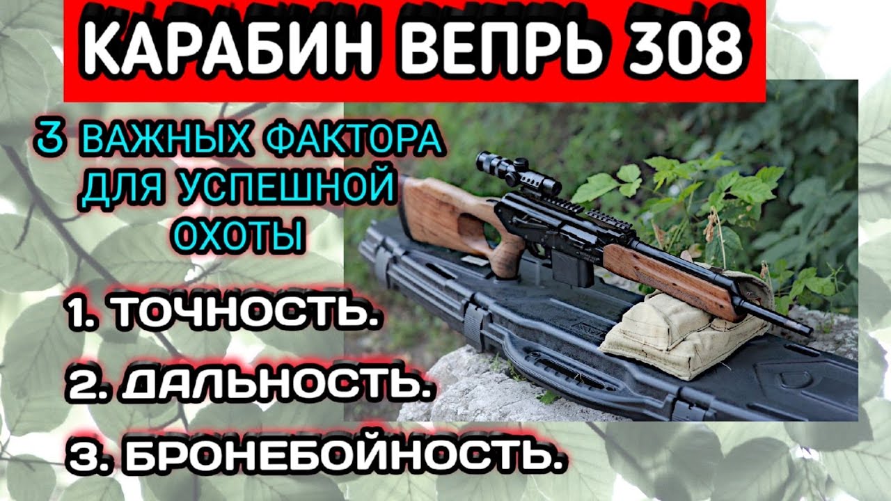 Вепрь 308 характеристики