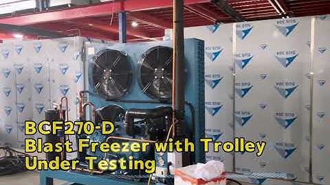 Aruide big blast freezing chamber with 3 trolleys roll in