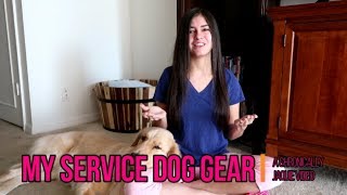 My Service Dog Gear Haul! 🐕