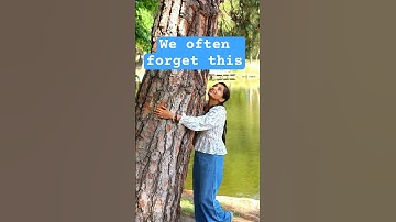 Observe the present. It’s all we have #shorts #observer