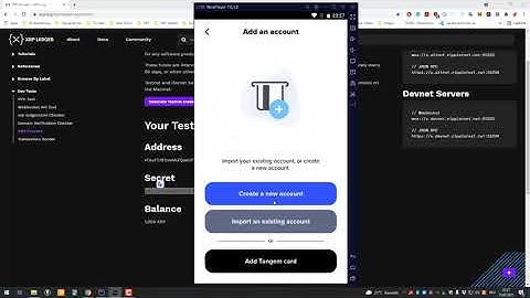 Using the XUMM app on the Testnet