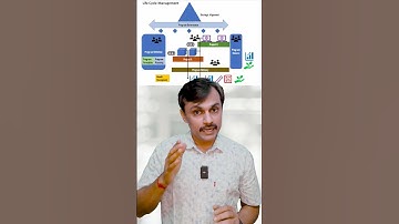 Governance Framework - Domains for PgMP Exam: A Quick Overview #pgmpizenbridge