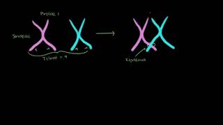 Genetik Rekombinasyon (Çeşitlenme ) (1. ) (Fen Bilimleri) (Biyoloji) Resimi