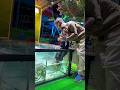 NR Fish Spa🥰 Besant Nagar beach +919952085544 #youtubeshorts #spa #cute #fish #yt #youtube #chennai